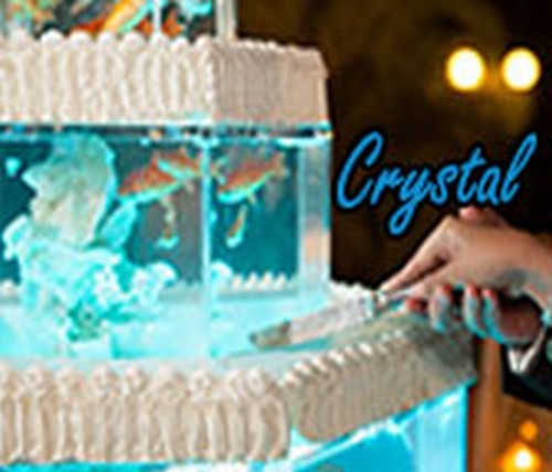 Idee Originali - Crystal Torta Acquario - rocca di papa